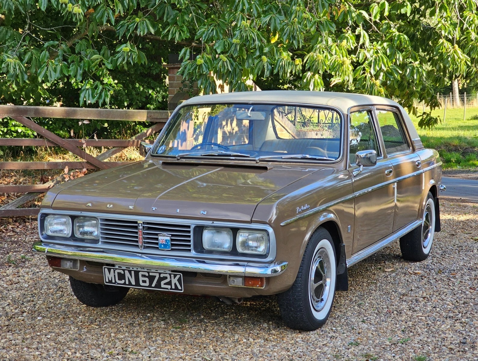 Image of Austin Kimberley